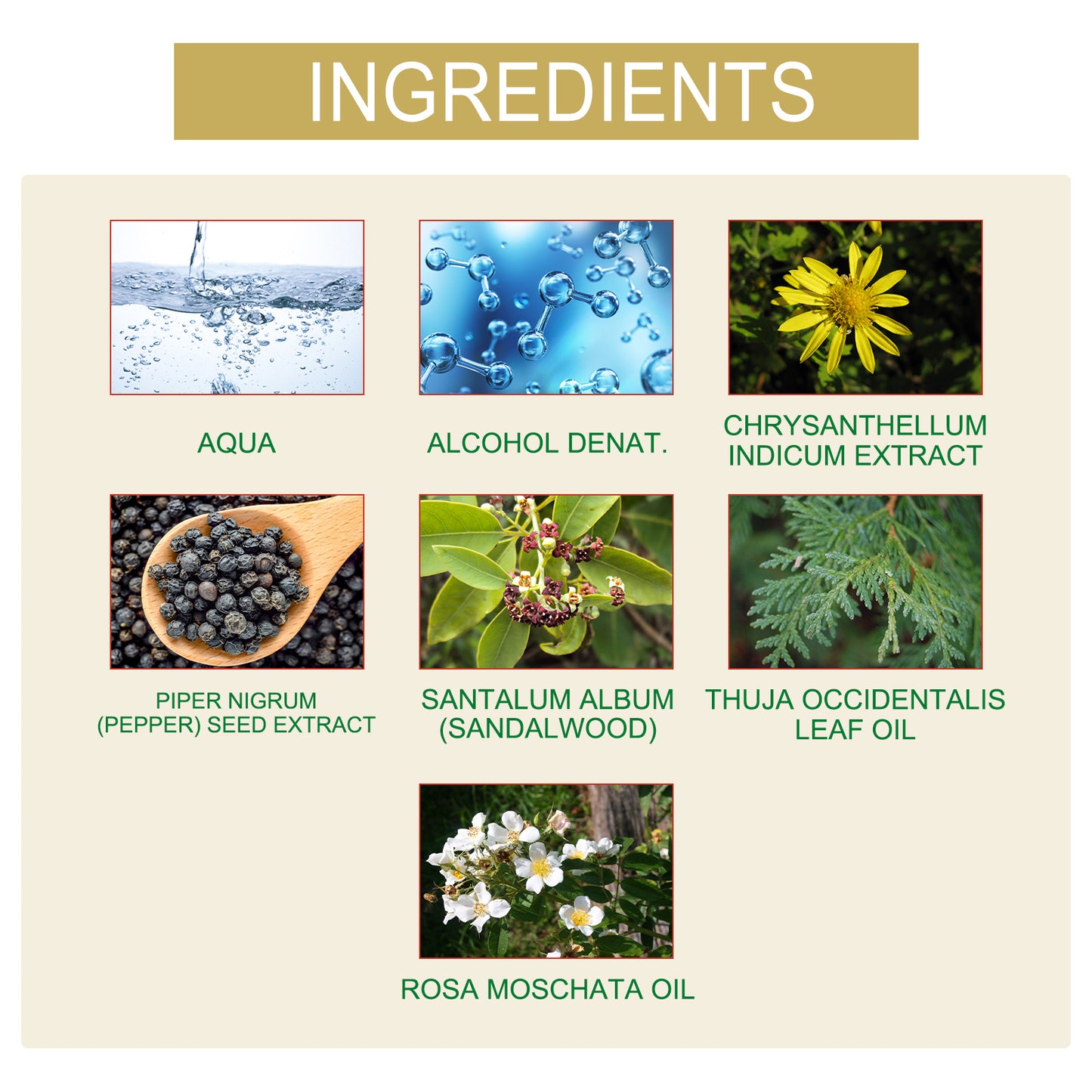 Ouhoe Charm Perfume Natural Fresh Niche Lasting Fragrance Portable Portable Couple Dating Atmosphere Perfume